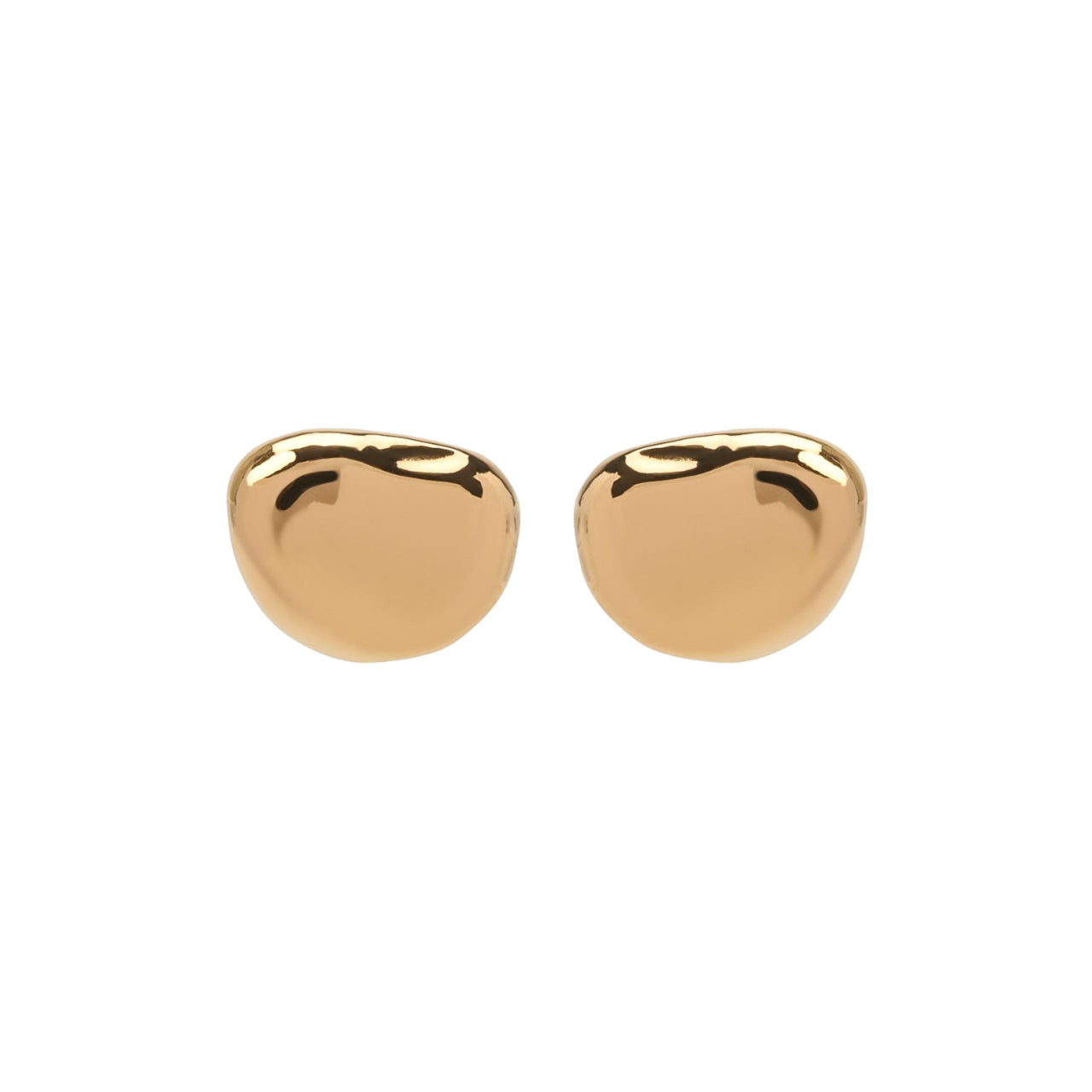 Bottega Veneta Silver Earrings