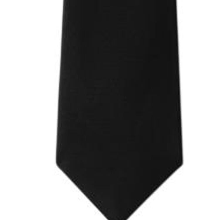 LOUIS VUITTON Lv Vers Tie