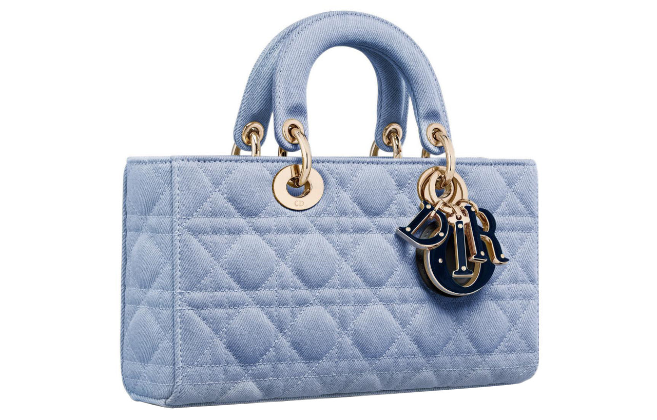 DIOR Lady D Joy Handbags