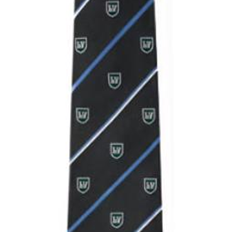 LOUIS VUITTON M94779 College Lv Crest Tie