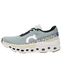(WMNS) On Running Cloudmonster 2 'Mineral Aloe' 3WE10112078