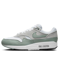 Nike Air Max 1 'White Mica Green' DZ4549-100