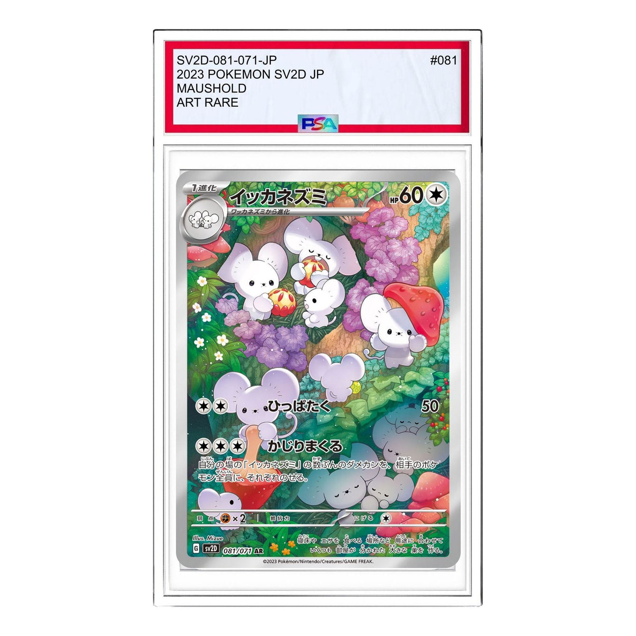 Pokemon Clay burst & Snow hazard [SV2D 081/071] 'Maushold AR' SV2D-081-071-JP