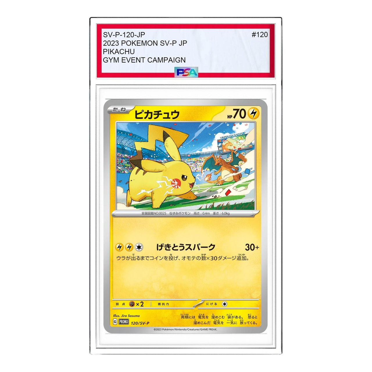Pokemon SV-P Promotional cards [SV-P 120] 'Pikachu: PROMO' SV-P-120-JP