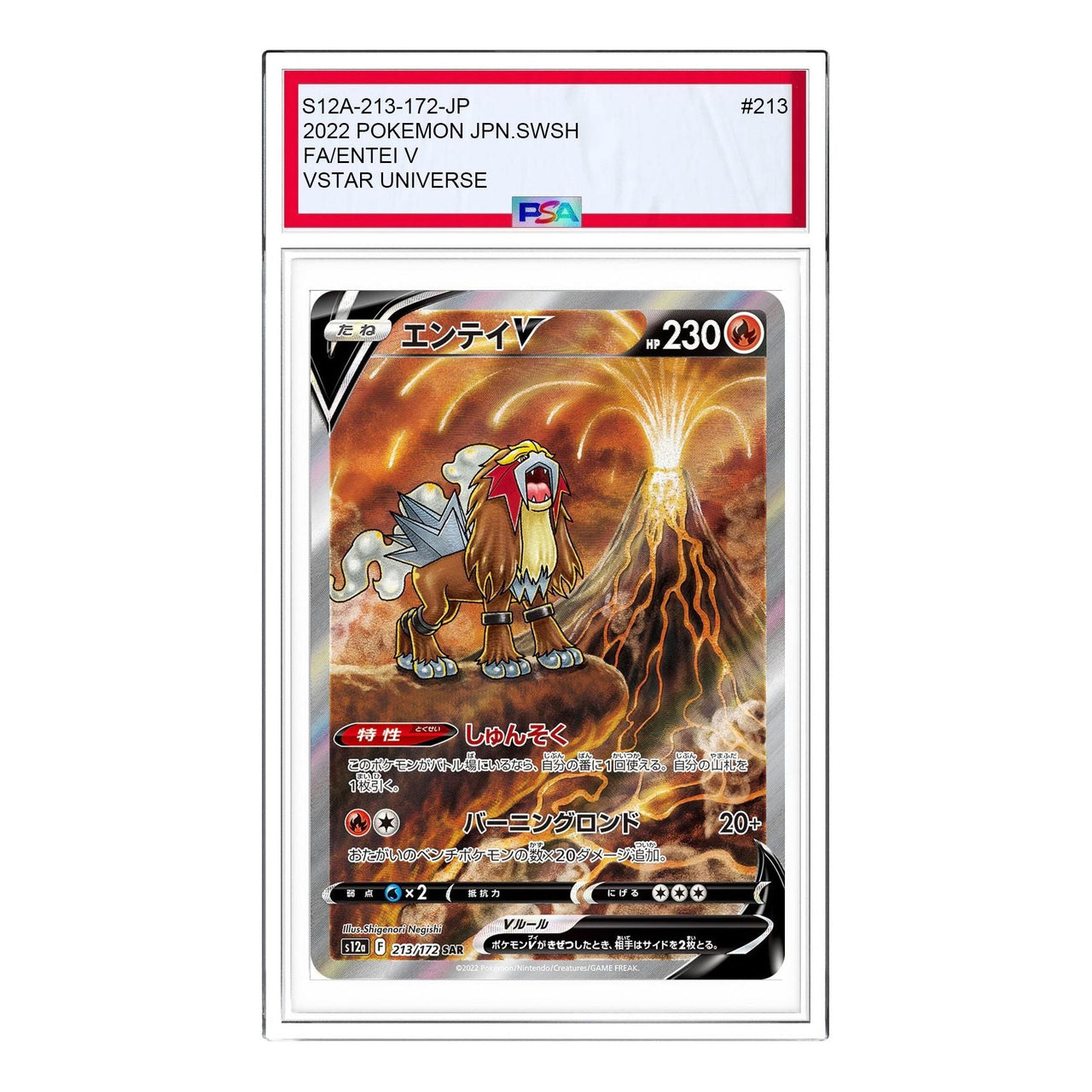 Pokemon VSTAR  Universe [s12a 213/172] 'Entei V SAR' S12A-213-172-JP