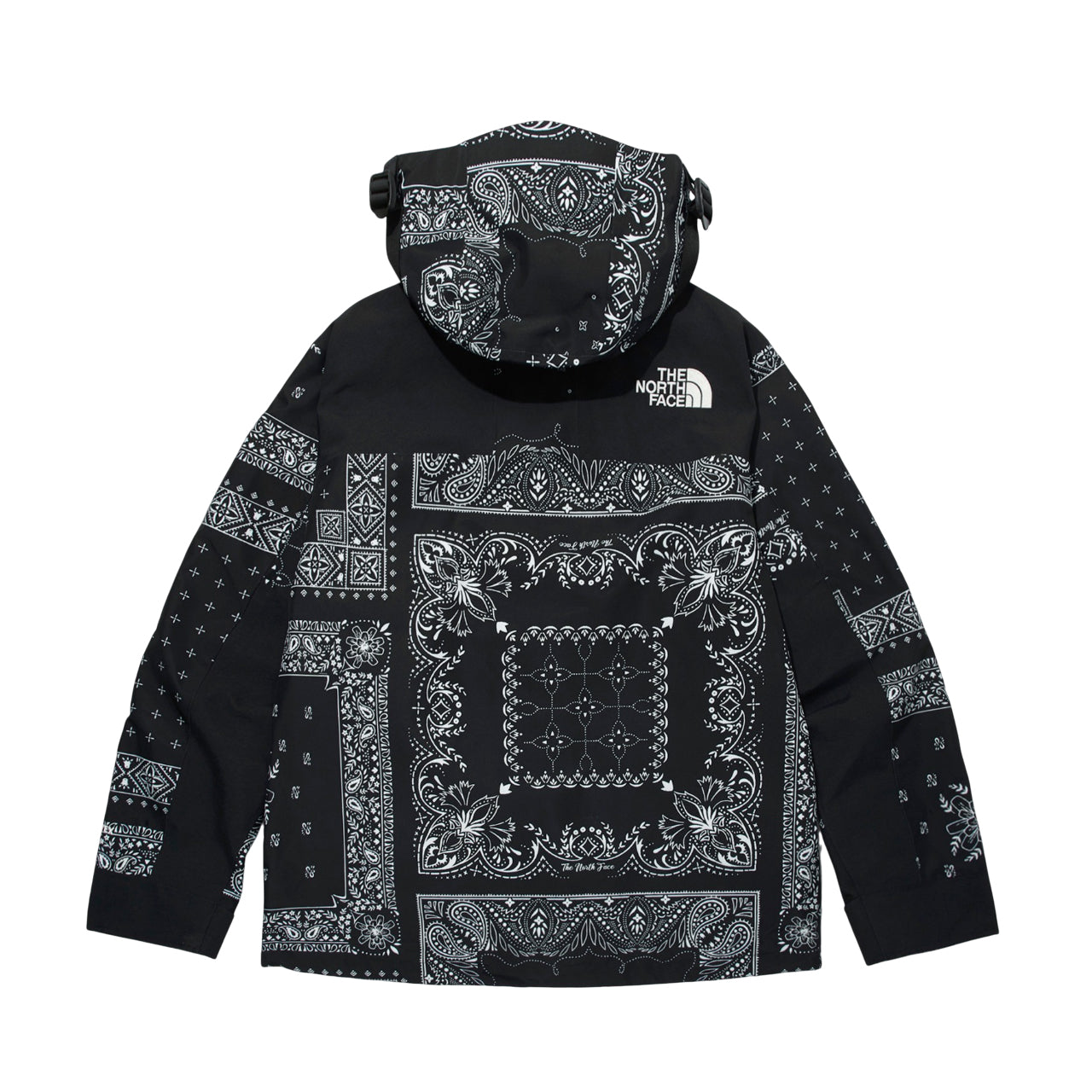 THE NORTH FACE Novelty Gore-Tex Mountain Jacket Asia Sizing 'Paisley Black' NJ2GM50E