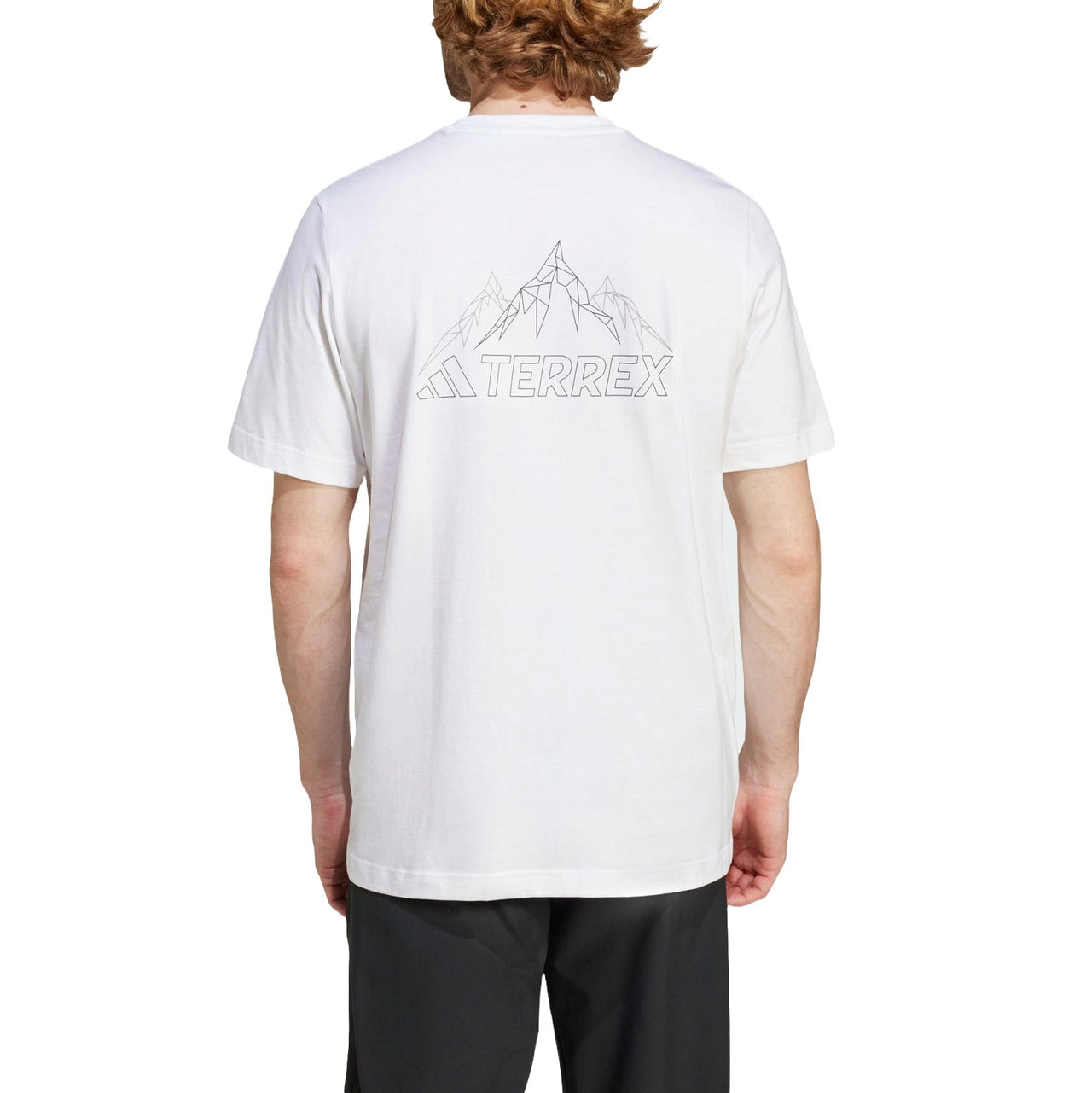adidas Terrex Graphic T-Shirt 'White' IZ0465