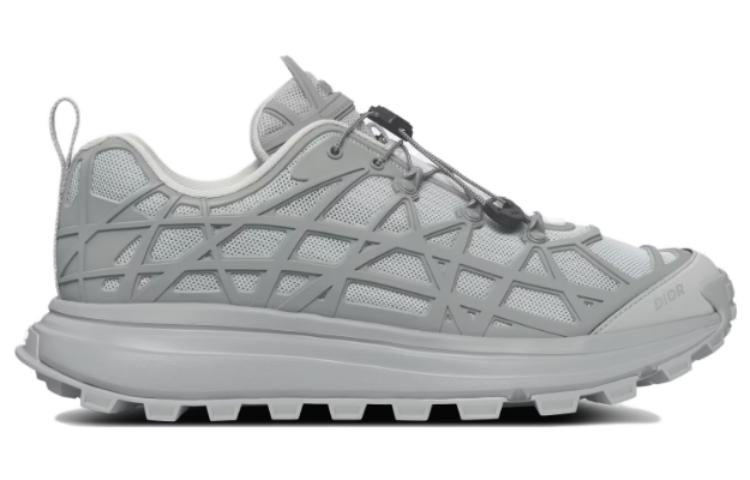 DIOR B31 Low-Top Casual Shoes Men's Gray