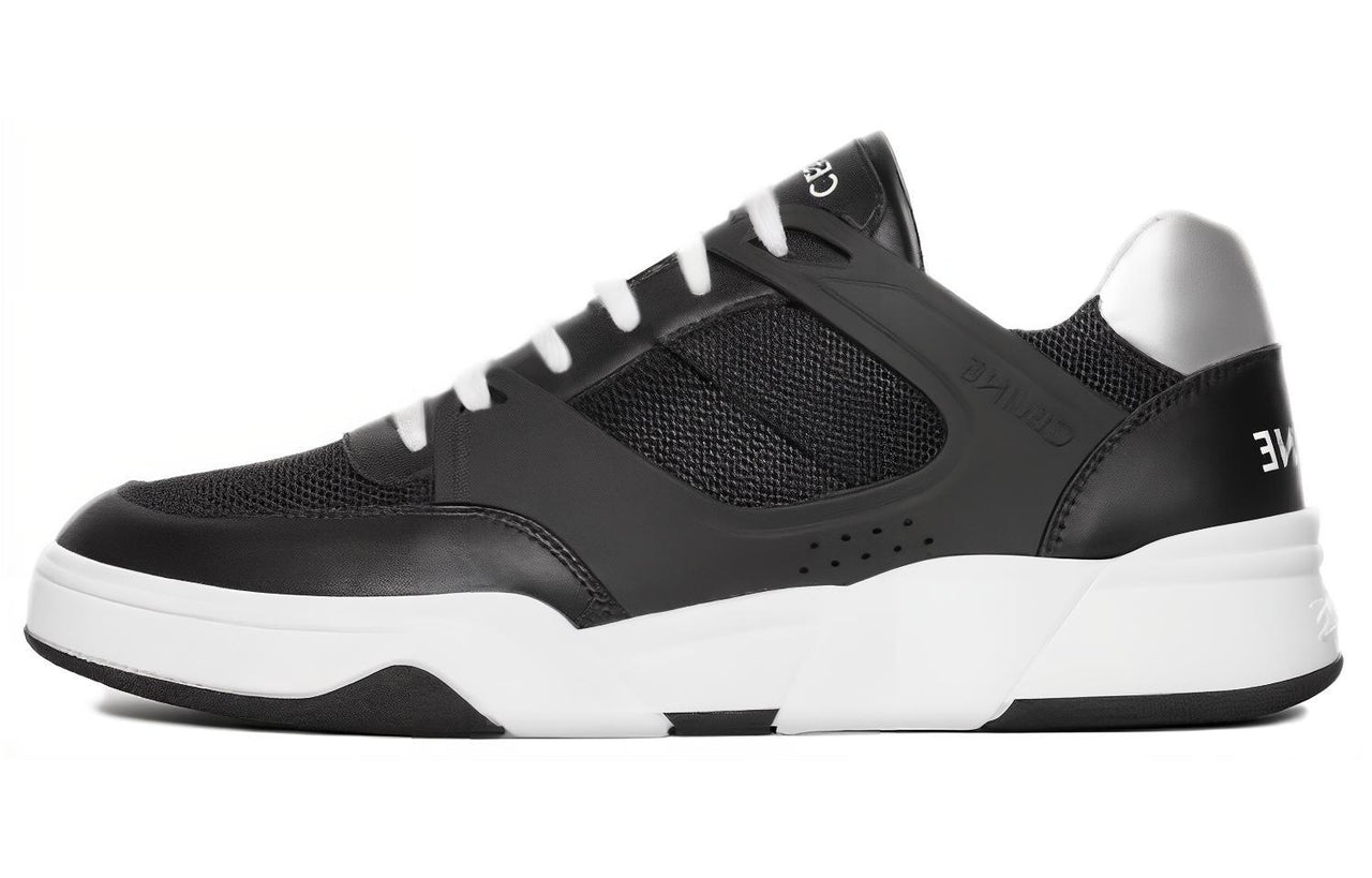 CELINE Low-Top Skateboard Shoes Men's Black