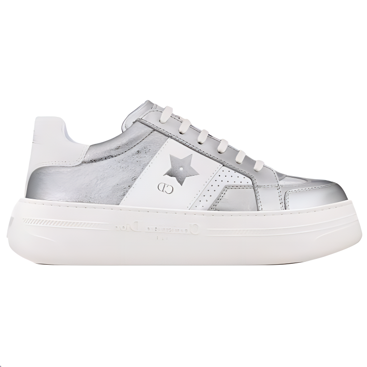 DIOR Star Platform Shoes Low Top Casual Shoes Women's Silver