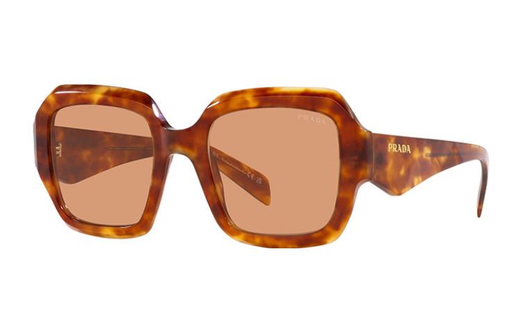 PRADA Plate Frame Irregular Shape Sunglasses Unisex Tortoiseshell