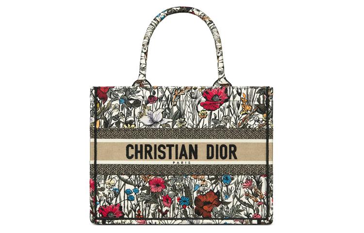 DIOR Canvas Canvas Bag Shoulder Bag Tote Bag Shopping Bag Handbag Small Size Women's Multicolor/Embroidery