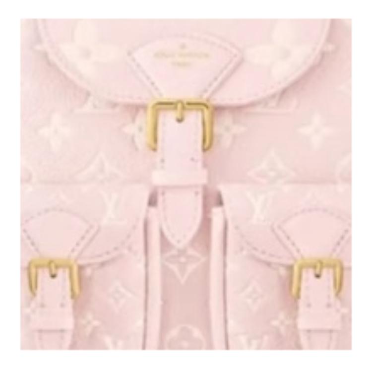 LOUIS VUITTON BACKUP Calfskin Backpack Women's Pink