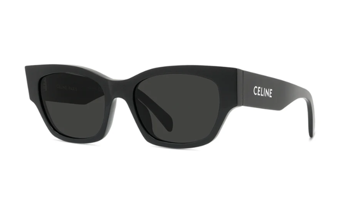 CELINE Monochroms 01 Sunglasses In Acetate