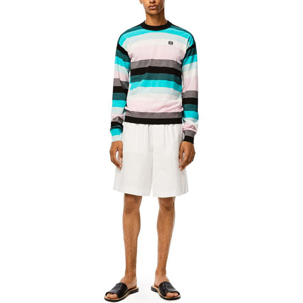 LOEWE Sweaters Men Multicolor