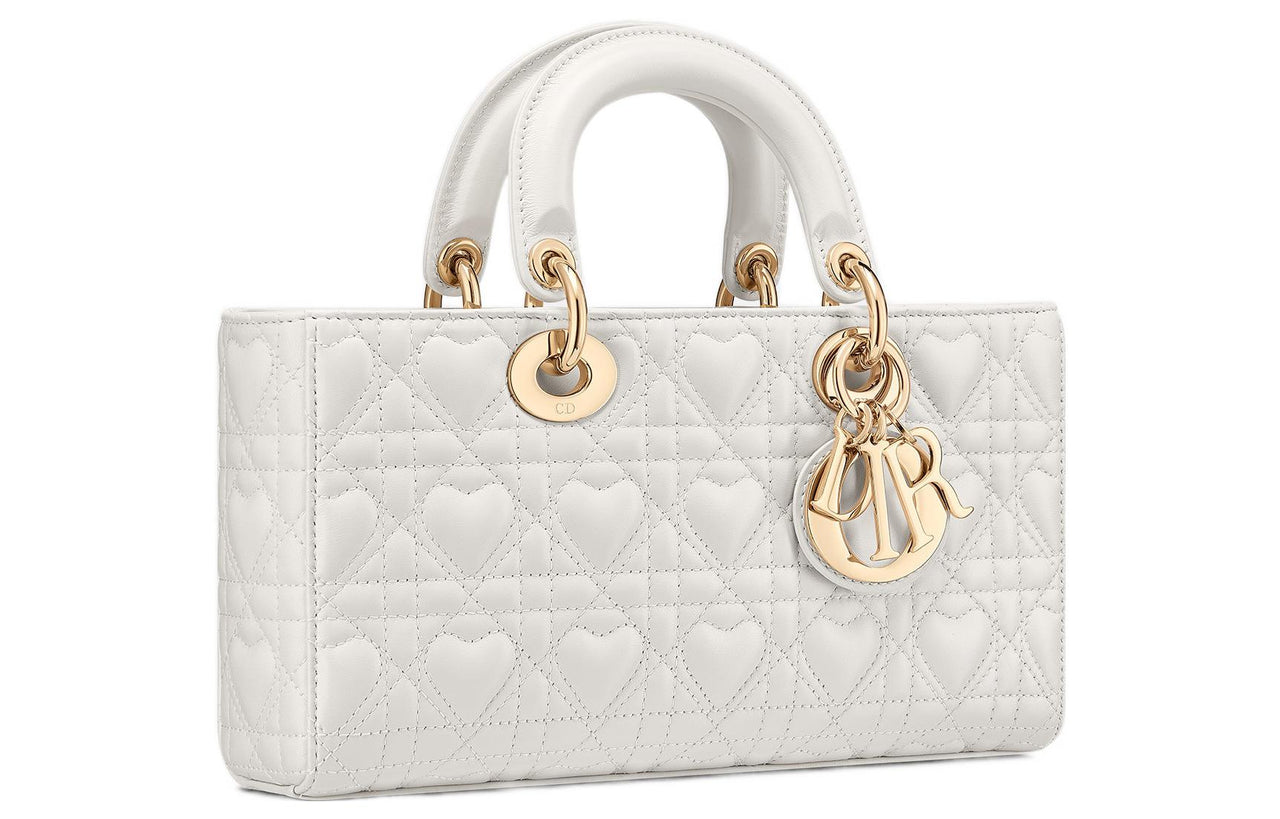 DIOR Lady D Joy Handbags