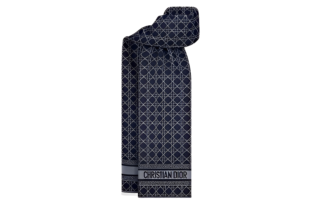 DIOR Knit Scarves Women's