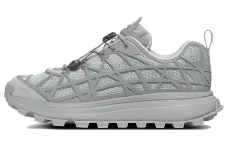 DIOR B31 Low-Top Casual Shoes Men's Gray