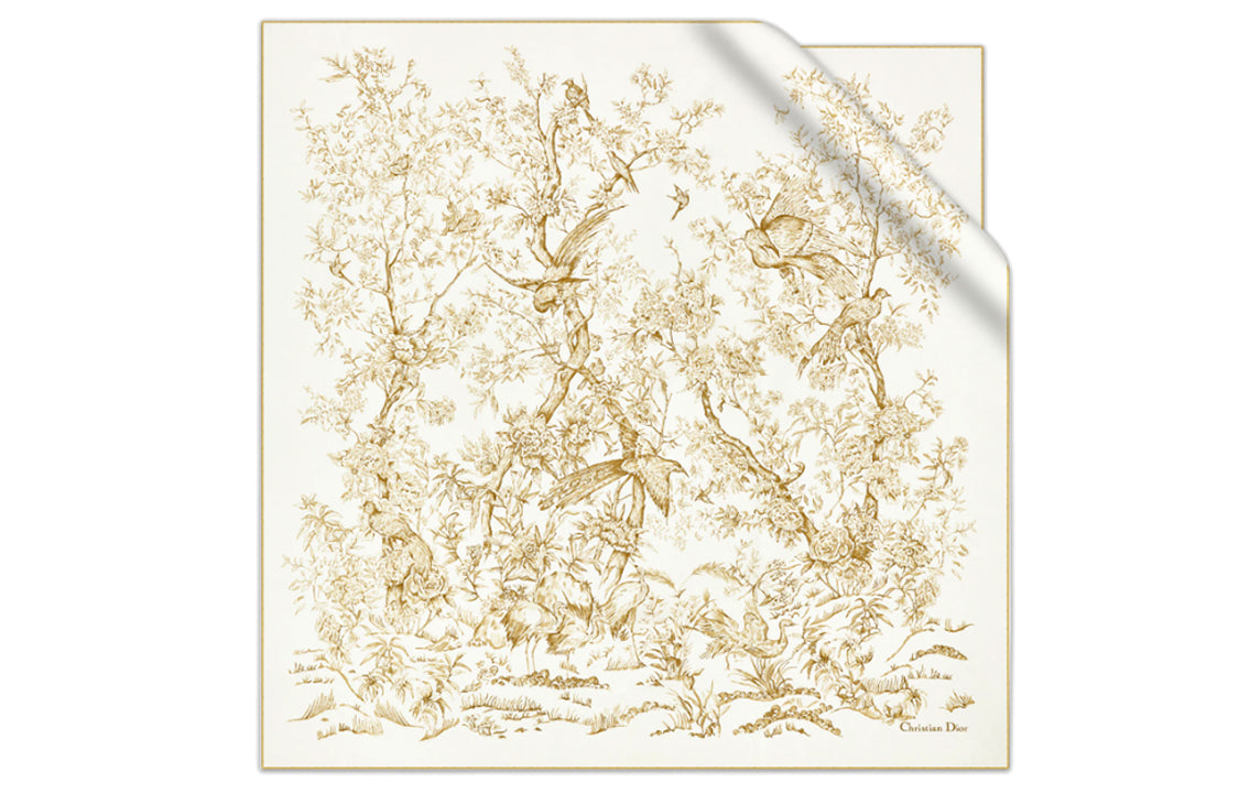 DIOR Silk Scarves Women's Ecru
