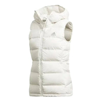 (WMNS) adidas Terrex Helionic Vest 'White' DW9277
