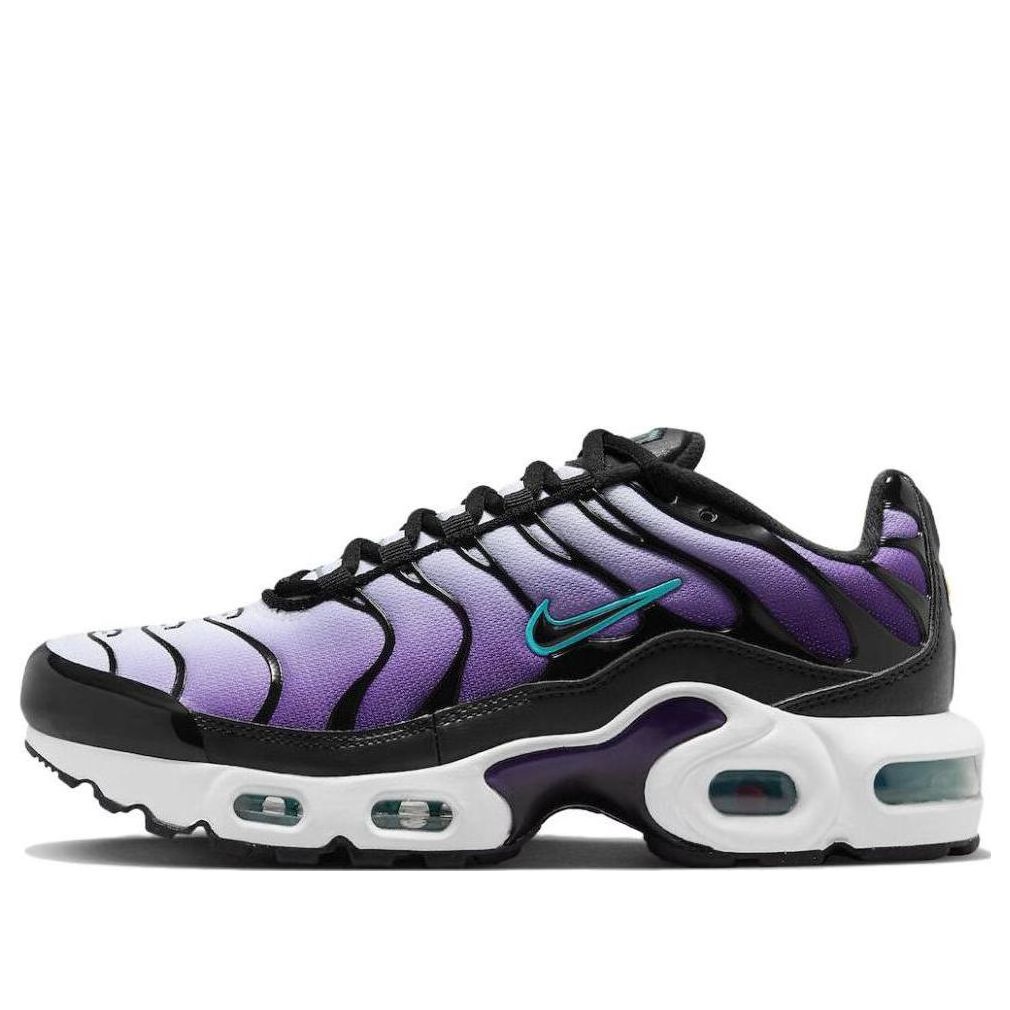 (GS) Nike Air Max Plus 'Reverse Grape' FQ2412-500
