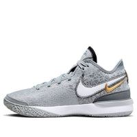 Nike Zoom LeBron NXXT Gen 'Wolf Grey Metallic Gold' DR8784-004