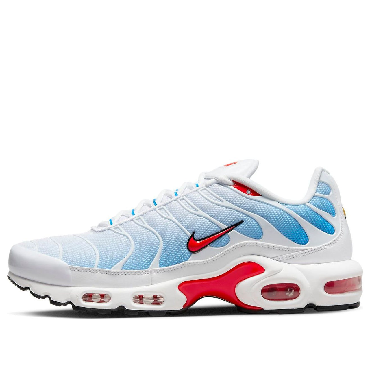 Nike Air Max Plus 'Tide' 604133-423
