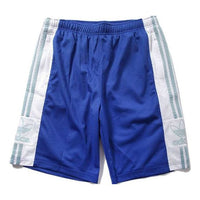 Men's adidas originals Mesh Retro Sports Blue Shorts DV3185