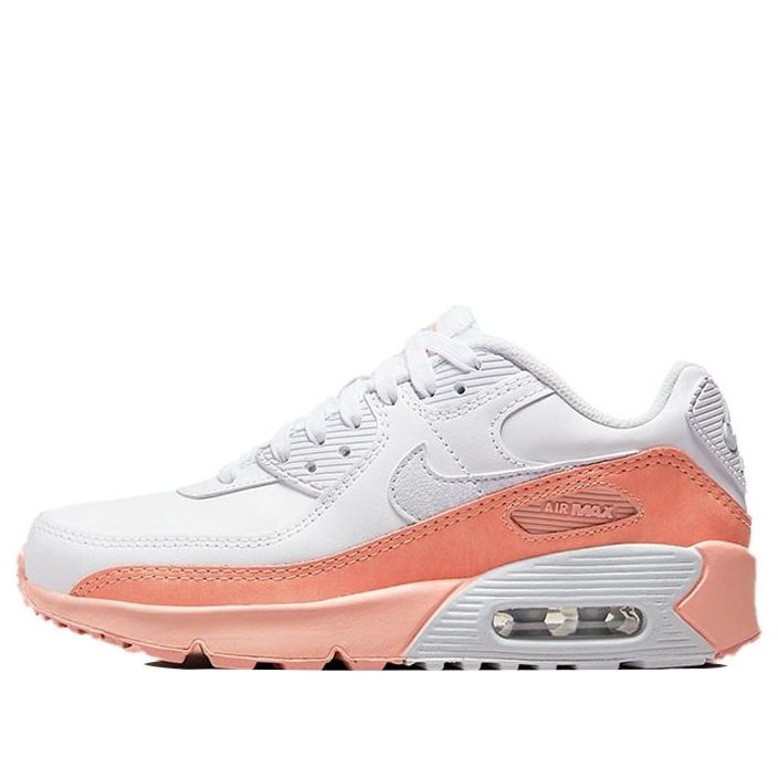 (GS) Nike Air Max 90 Leather SE 'White Light Madder Root' DM0956-100