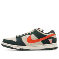 Nike SB Dunk Low Pro 'Eire' 304292-185