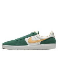 Nike Team Classic SB 'Bicoastal Celestial Gold' AH3360-302