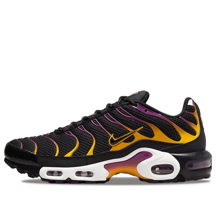 Nike Air Max Plus 'Black University Gold Viotech' DX2663-001