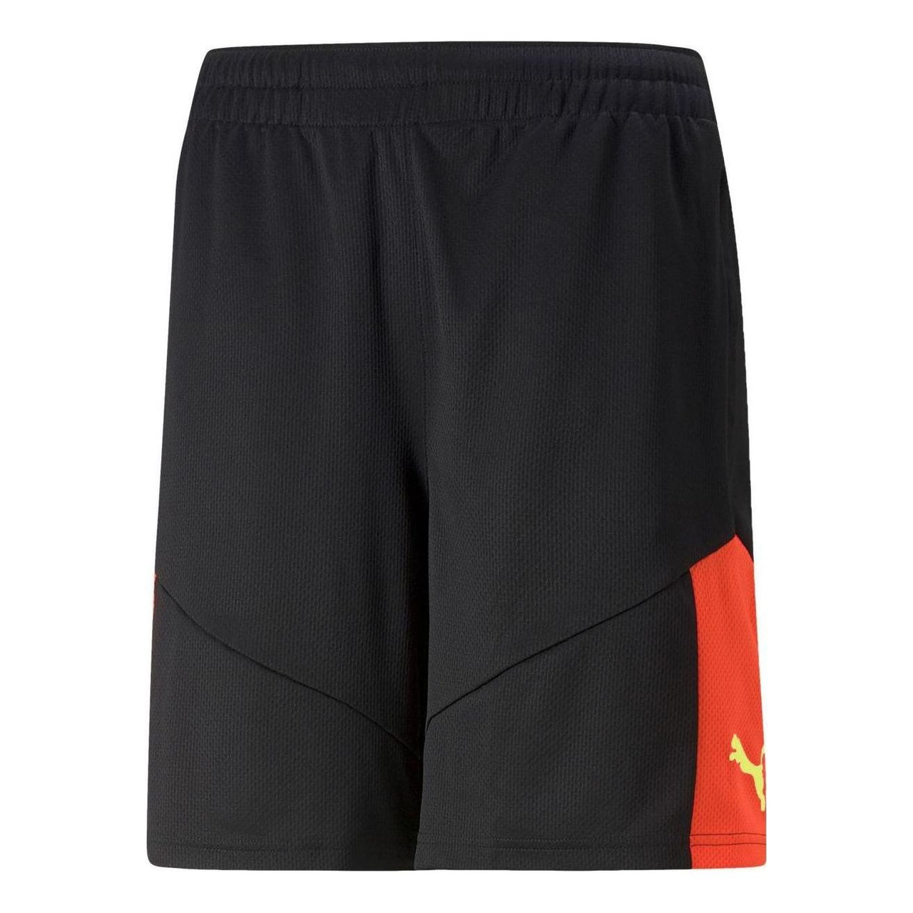 PUMA Individual FINAL Shorts 'Black' 658042-48