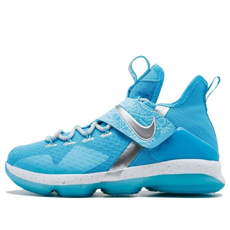 (GS) Nike LeBron 14 'The Nature Boy' AA3258-404