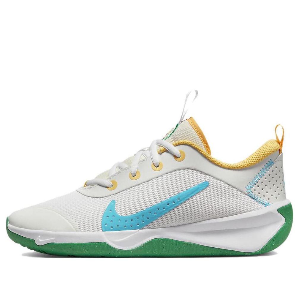 (GS) Nike Omni Multi-Court 'Spring Colors' FJ7719-141