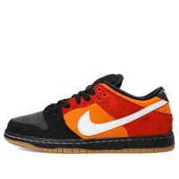 Nike SB Dunk Low Pro 'Reverse Raygun' 304292-047