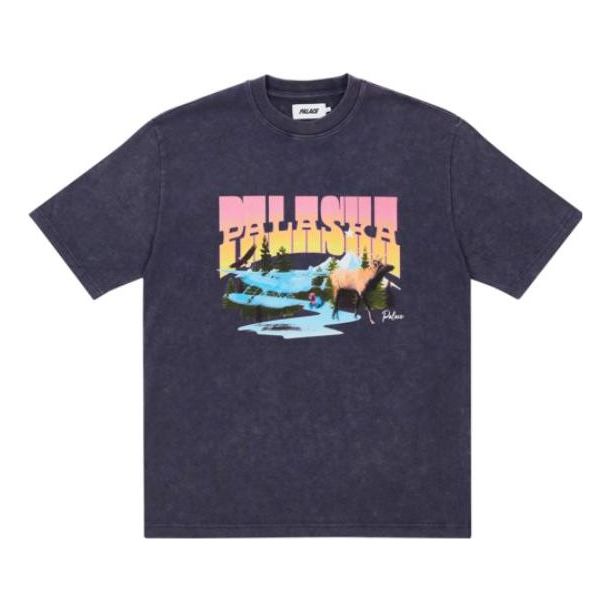Palace SS22 Palaska Dye T-Shirt 'Purple' P22ES120