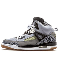 Air Jordan SpizIke 'Light Graphite' 315371-091