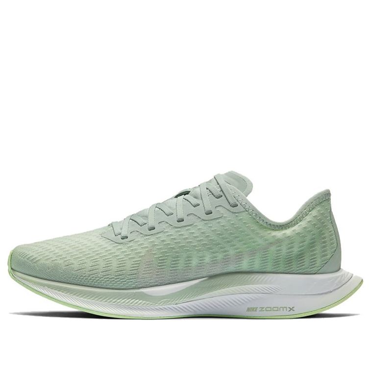 (WMNS) Nike Zoom Pegasus Turbo 2 AT8242-301