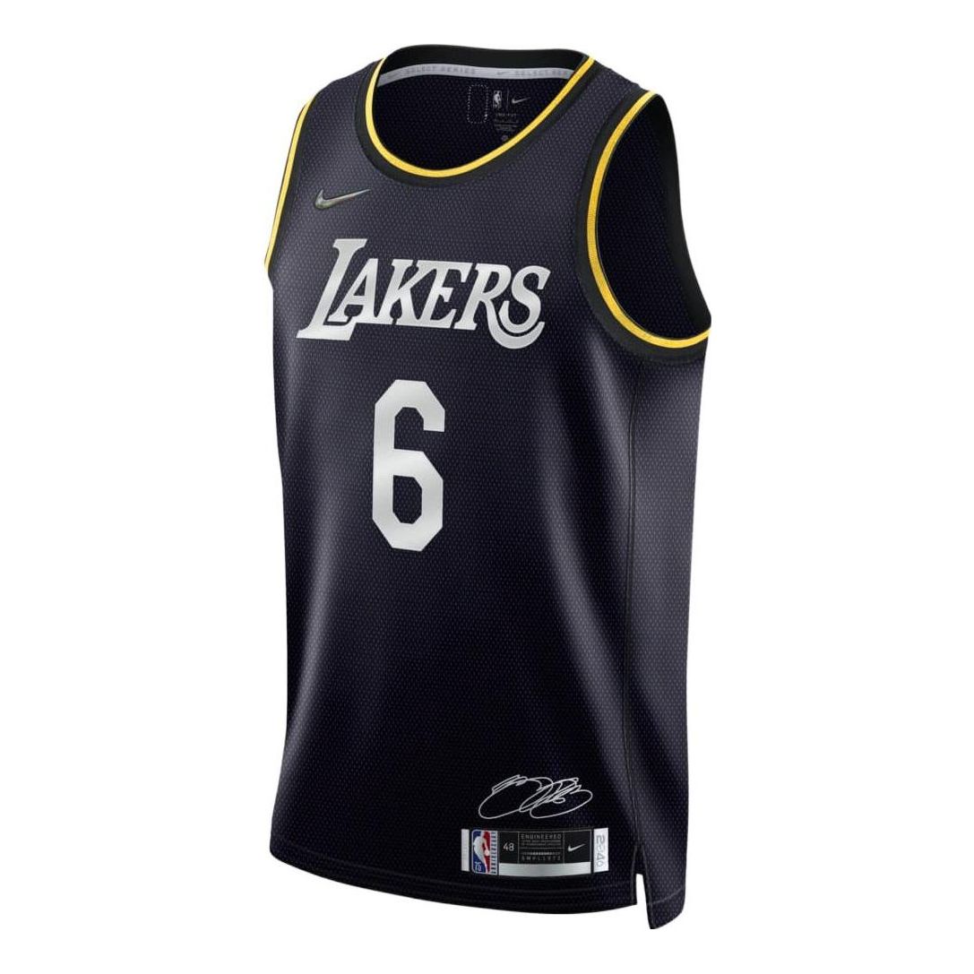 Nike x NBA LA Lakers Icon Edition Jerseys 'LeBron James 6' DH8060-010