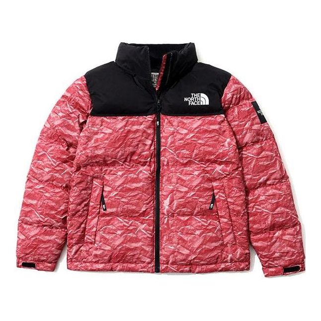 THE NORTH FACE Novelty Nuptse NJ1DM66L