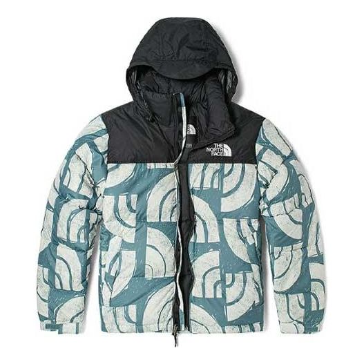THE NORTH FACE 1996 Retro Nuptse 700 NF0A5IX4-537