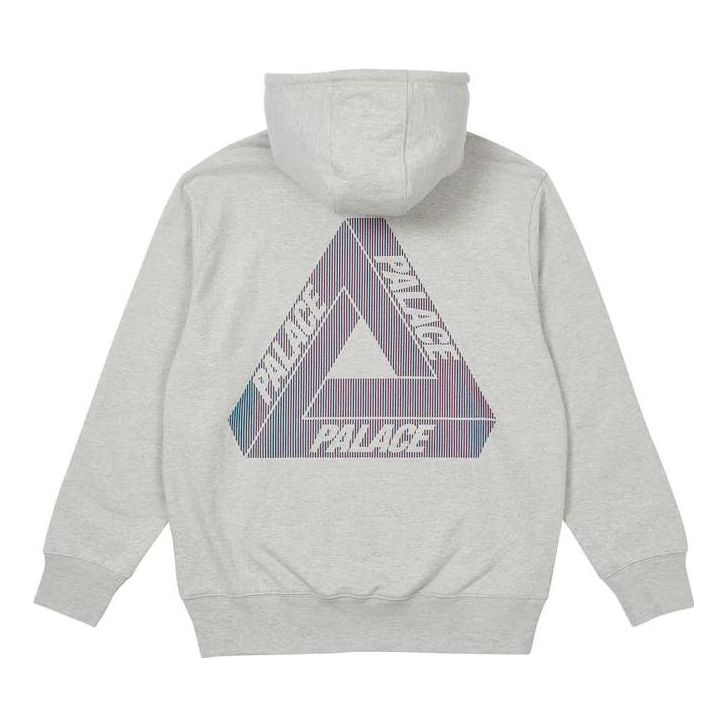 Palace FW22 Tri-lenticularhood 'Grey' P23CS243