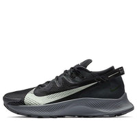 Nike Pegasus Trail 2 'Dark Smoke Grey' CK4305-002