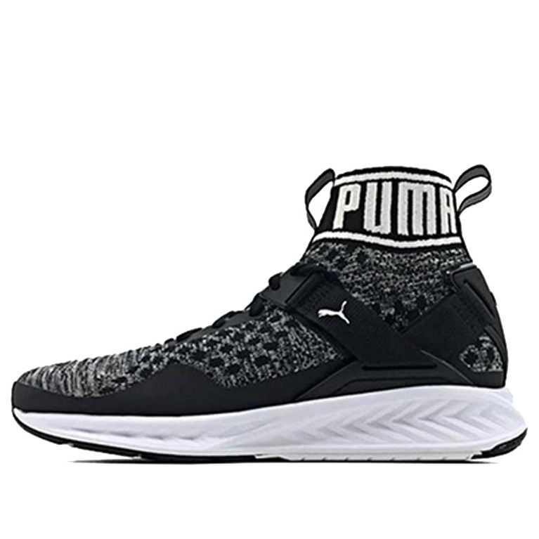 (WMNS) PUMA Ignite evoKNIT 189766-01
