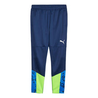 PUMA individualCUP Football Training Pants 'Blue Green' 658487-54