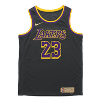 Nike NBA LeBron James Los Angeles Lakers 2020/21 Fan Edition Jersey #23 CN9929-013