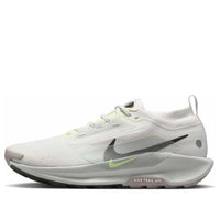 Nike Pegasus Trail 5 Gore-Tex 'Summit White Sequoia' FQ0908-102