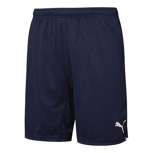PUMA SW Liga Core shorts 'Navy' 759810-10