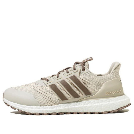 adidas UltraBoost DNA Guard 'Aluminium Chalk Brown' H03601